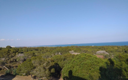 Nouvelle construction - Appartement -
Guardamar del Segura