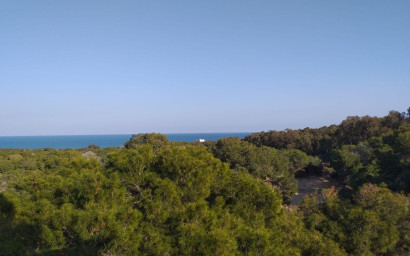 Nouvelle construction - Appartement -
Guardamar del Segura