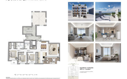 Nouvelle construction - Appartement -
Guardamar del Segura