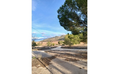 Resale - Finca / Country Property -
Yecla