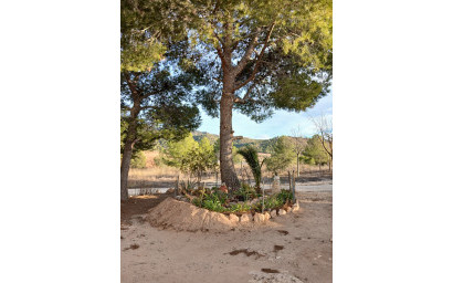 Resale - Finca / Country Property -
Yecla