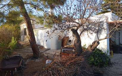 Resale - Finca / Country Property -
Yecla