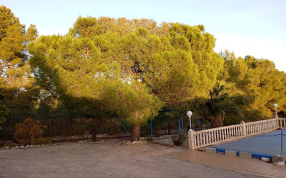 Resale - Finca / Country Property -
Yecla