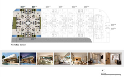 New Build - Townhouse -
Dolores - Pueblo