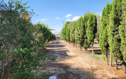 Herverkoop - Villa -
Villena