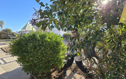 Herverkoop - Villa -
Villena