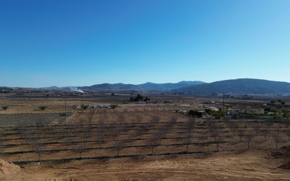 New Build - Villa -
Pinoso