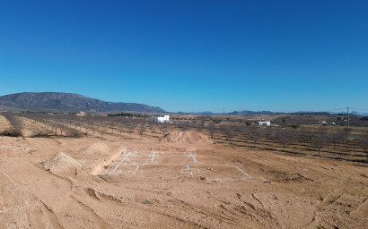 New Build - Villa -
Pinoso