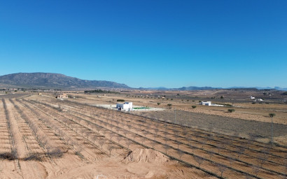 New Build - Villa -
Pinoso