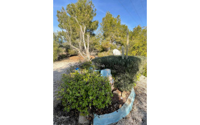 Resale - Finca / Country Property -
&Uacute;beda - &Uacute;beda Alicante