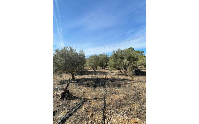 Resale - Finca / Country Property -
&Uacute;beda - &Uacute;beda Alicante