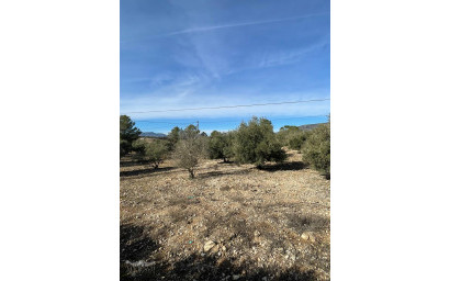 Resale - Finca / Country Property -
&Uacute;beda - &Uacute;beda Alicante