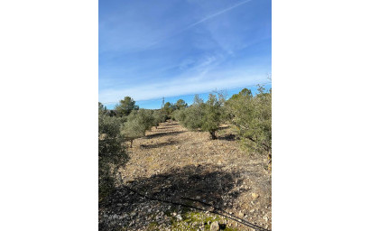 Resale - Finca / Country Property -
&Uacute;beda - &Uacute;beda Alicante