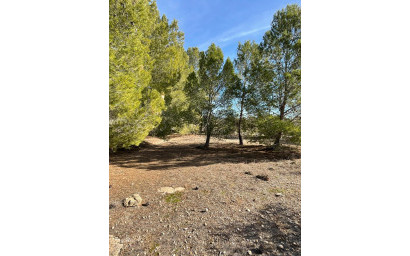 Resale - Finca / Country Property -
&Uacute;beda - &Uacute;beda Alicante