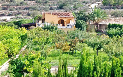 Resale - Finca / Country Property -
Villajoyosa