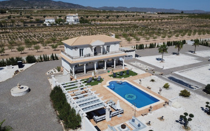 Nieuwbouw - Villa -
Pinoso