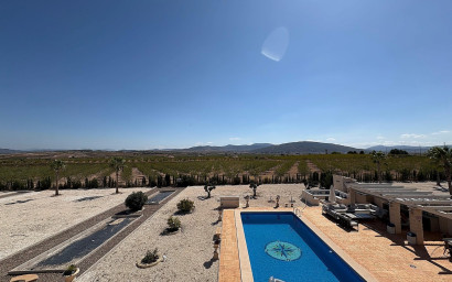 Nieuwbouw - Villa -
Pinoso