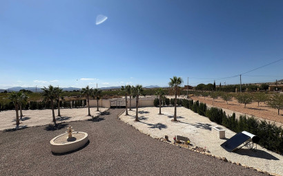 Nieuwbouw - Villa -
Pinoso