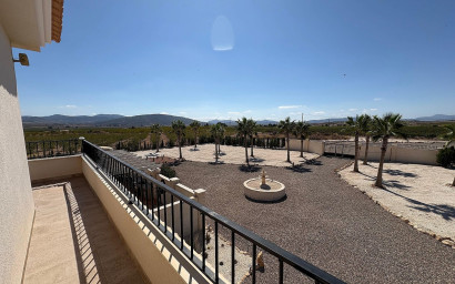 Nieuwbouw - Villa -
Pinoso