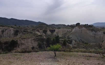 Revente - Maison de campagne -
Abanilla