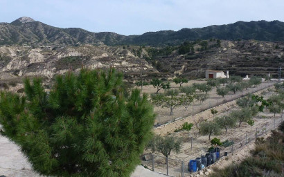 Revente - Maison de campagne -
Abanilla