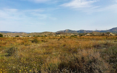 Resale - Villa -
Abanilla