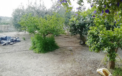 Resale - Villa -
Abanilla