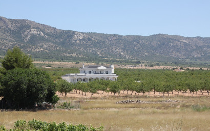 Nieuwbouw - Villa -
Pinoso