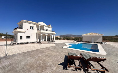 Nieuwbouw - Villa -
Pinoso