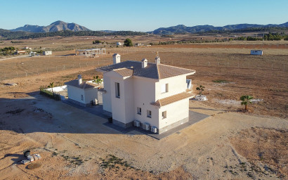 Nouvelle construction - Villa -
Pinoso