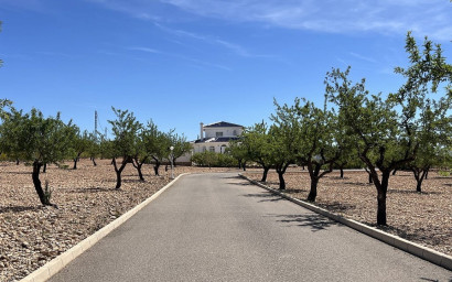 Resale - Villa -
Pinoso