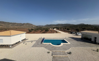 Nouvelle construction - Villa -
Pinoso