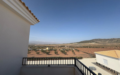 Nouvelle construction - Villa -
Pinoso