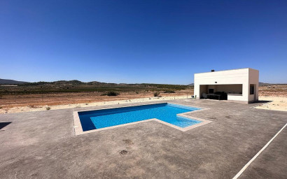 Nouvelle construction - Villa -
Pinoso