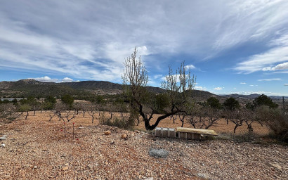 New Build - Villa -
La Romana