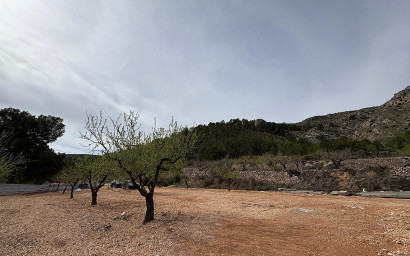 New Build - Villa -
La Romana