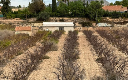 Resale - Land -
Monovar