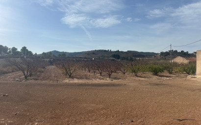 Resale - Land -
Monovar