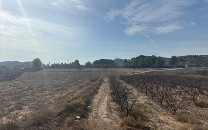 Resale - Land -
Monovar