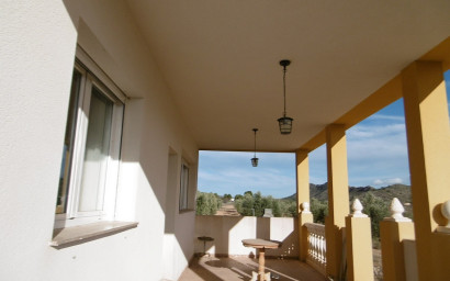 Resale - Finca / Country Property -
Yecla