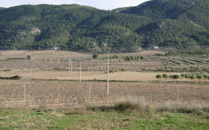 Resale - Finca / Country Property -
Yecla