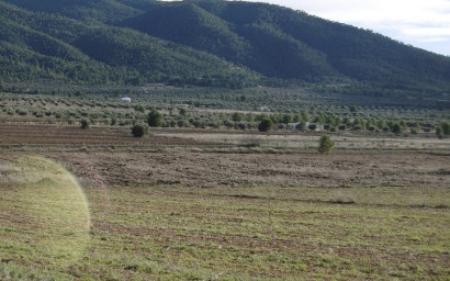 Resale - Finca / Country Property -
Yecla