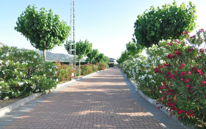 Resale - Villa -
Villena