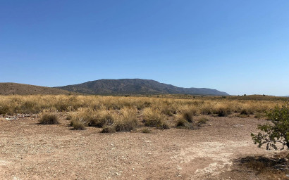 New Build - Villa -
Pinoso