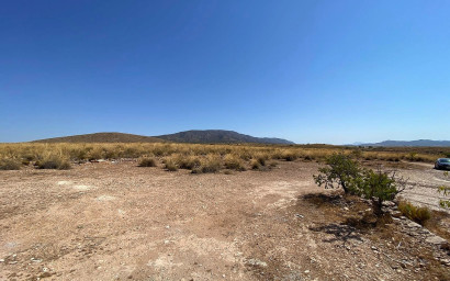 New Build - Villa -
Pinoso