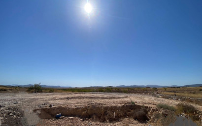 New Build - Villa -
Pinoso