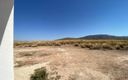 New Build - Villa -
Pinoso