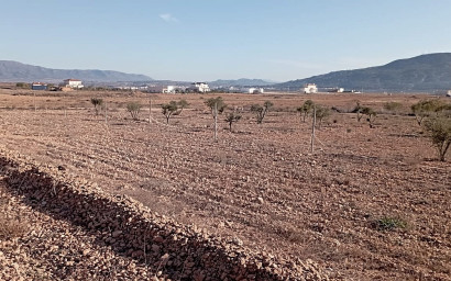 Herverkoop - Landhuis -
Pinoso
