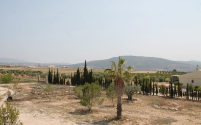 Herverkoop - Landhuis -
Pinoso