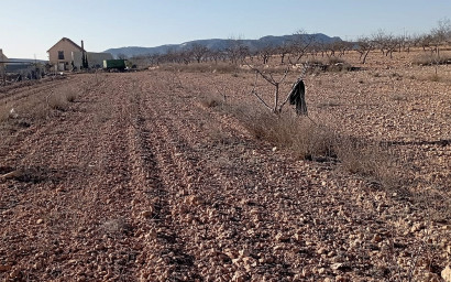 Herverkoop - Landhuis -
Pinoso